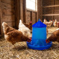 Hopper Feeder for Poultry and Chickens | 8 kg Capacity | 37x37x45 cm | Durable Plastic | Blue