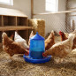 Hopper Feeder for Poultry and Chickens | 8 kg Capacity | 37x37x45 cm | Durable Plastic | Blue