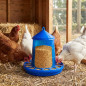 Futterautomat für Geflügel und Hühner | 4 kg Fassungsvermögen | 30 x 30 x 38 cm | Robuster Kunststoff | Blau