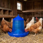Mangeoire à trémie pour oiseaux et poules | Capacité : 2 kg | 24 x 24 x 29,5 cm | Plastique résistant | Bleu