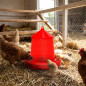 Mangeoire à trémie pour oiseaux et poules | Capacité : 12 kg | 46 x 46 x 50 cm | Plastique résistant | Rouge