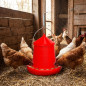 Mangeoire à trémie pour oiseaux et poules | Capacité : 12 kg | 46 x 46 x 50 cm | Plastique résistant | Rouge