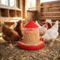 Tolva comedero plástico gallinas 4 Kg, 30x30x38 cm, rojo