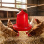 Plastic chicken feeder hopper 4 Kg, 30x30x38 cm, red