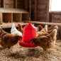 Mangeoire en plastique pour poules 4 Kg, 30x30x38 cm, rouge