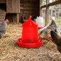 Plastic chicken feeder hopper 2 Kg, 24x24x29.5 cm, red Plastic chicken feeder hopper 2 Kg, 24x24x29.5 cm, red