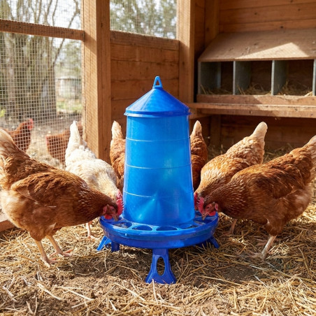 Comedouro de plástico para frango com pernas, 8 kg, 37 x 37 x 45 cm, azul