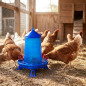 Comedouro de plástico para frango com pernas, 8 kg, 37 x 37 x 45 cm, azul