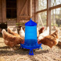 Tramoggia in plastica per polli con gambe 8 Kg, 37x37x45 cm, blu