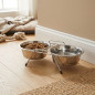 Comedero Y Bebedero Perro Gato Doble Con Soporte Ø16,5 Cm | 35 X 17 X 7 Cm | 0,75 L X 2 Bol | Antideslizante | Estable