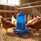 Mangeoire à poulets en plastique avec pieds 4 Kg, 30x30x38 cm, bleue