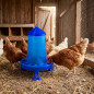 Plastic chicken feeder hopper with legs 4 kg, 30x30x38 cm, blue
