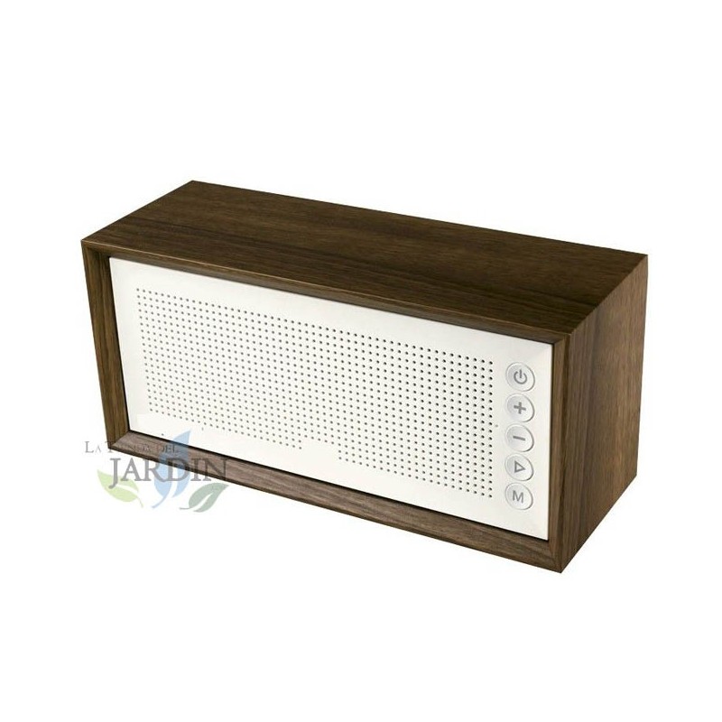 Radio Bluetooth Rétro Portable, Enceinte Radio FM avec Haut-Parlur, blanc