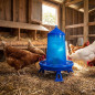 Mangeoire à poulets en plastique avec pieds 4 Kg, 30x30x38 cm, bleue