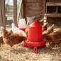 Comedouro de plástico para frango com pernas 2 kg, 24 x 24 x 29,5 cm, vermelho