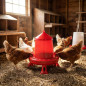 Comedouro de plástico para frango com pernas 2 kg, 24 x 24 x 29,5 cm, vermelho