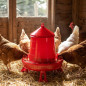 Trémie d'alimentation en plastique pour poulets avec pattes 2 kg, 24x24x29,5 cm, rouge