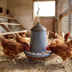 Mangeoire à trémie suspendue pour poulets 16 Kg, 46x55 cm