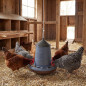 Chicken hopper feeder for hanging 12 kg, 46 x 43 cm