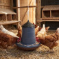 Chicken hopper feeder for hanging 8 kg, 37x37 cm