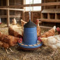 Chicken hopper feeder for hanging 8 kg, 37x37 cm