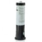 AstralPool 10.000 l/h Zylinderkartuschenfilter | Poolfilter für Aufstellpools bis 40 m³ | Poolfiltrationssystem