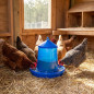 Hopper Feeder for Poultry and Chickens | 4 kg Capacity | 30x30x38 cm | Durable Plastic | Blue