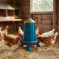 Mangeoire pour poulets 16 Kg, 46x63 cm