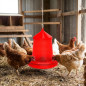 Mangeoire à trémie pour oiseaux et poules | Capacité : 12 kg | 46 x 46 x 50 cm | Plastique résistant | Rouge