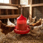 Mangeoire à trémie pour oiseaux et poules | Capacité : 12 kg | 46 x 46 x 50 cm | Plastique résistant | Rouge