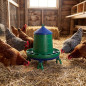 Mangeoire pour poulets 12 Kg, 46x50 cm