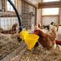 5 x Chicken and partridge drinker, constant level, 6x5x6 cm 5 x Chicken and partridge drinker, constant level, 6x5x6 cm