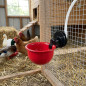 Pack de 4 bebederos automáticos | Gallinas | Patos | Gansos | Pavos | Palomas | Fijación a malla resistente