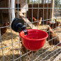 Pack de 4 bebederos automáticos | Gallinas | Patos | Gansos | Pavos | Palomas | Fijación a malla resistente