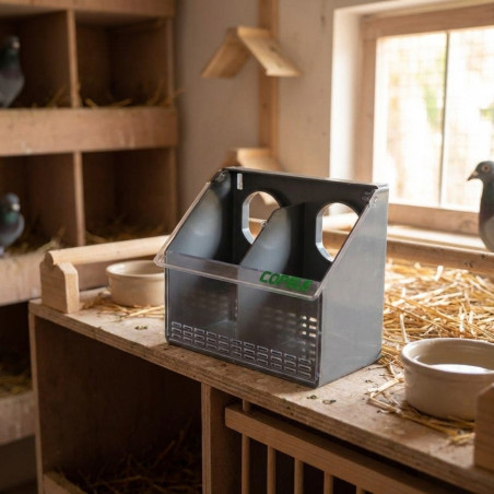 Plastic pigeon feeder with 2 compartments. Measures 17.5 x 11 x 14.5 cm