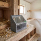 Plastic pigeon feeder with 2 compartments. Measures 17.5 x 11 x 14.5 cm