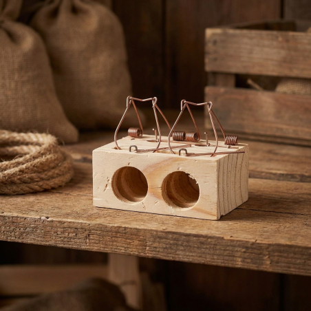 Lot de 6 pièges à souris – 2 entrées de 28 mm – Solution efficace de lutte contre les rongeurs et nuisibles