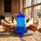 Plastic chicken feeder hopper with legs 12 kg, 46x46x50 cm, blue