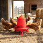 Plastic chicken feeder hopper with legs 16 kg, 46x46x63 cm, red