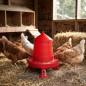 Plastic chicken feeder hopper with legs 8 kg, 37x37x45 cm, red