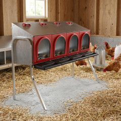 Indoor Nesting Box for Chickens, 4 Compartments, 104x47x76 cm, with Legs, Functional and Elevated