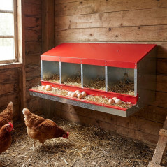 Ninho Galvanizado para Galinhas | Ninho com 4 Compartimentos | Ideal para 12 a 16 Galinhas, 106x49x44 cm