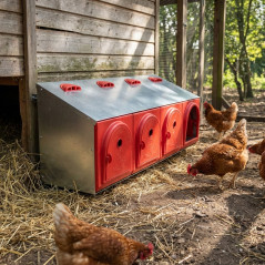 Nid d'extérieur pour poules à 4 compartiments, 104 x 47 x 48 cm | Boîte à poulaillers pour poules