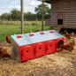 Nid d'extérieur pour poules à 4 compartiments, 104 x 47 x 48 cm | Boîte à poulaillers pour poules