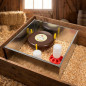 Kit Iniciacion Pollitos 1ª Edad | Parque 60x60 cm Con Calefactor Nanny Hen 220V 36W | Comedero 1Kg y Bebedero 1L Incluidos