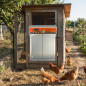 Automatic Elevator with Door for Poultry and Chicken Exit | Galvanized Automatic Door 31x42x8 cm