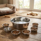 Comedero Bebedero Perros 21 cm | Pack 6 Bol 1,75 Litros Acero inoxidable para Perros y Gatos | Higienico, Resistente