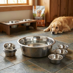 Comedero Bebedero Perros 29 cm | Pack 6 Bol 4 Litros Acero inoxidable para Perros y Gatos | Higienico, Resistente