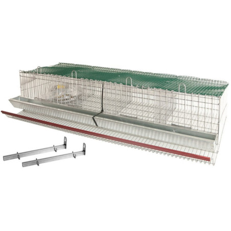 Bateria de Pared para Perdices y Codornices de 4 Departamentos 100x50x21 cm | Jaula Perdiz con Malla con Comedero lineal