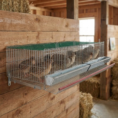 Bateria de parede para perdizes e codornas com 4 compartimentos 100x50x21 cm | Gaiola para perdizes com tela e alimentador linea